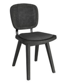 Aster Side Chair, Set of 2, in Charcoal