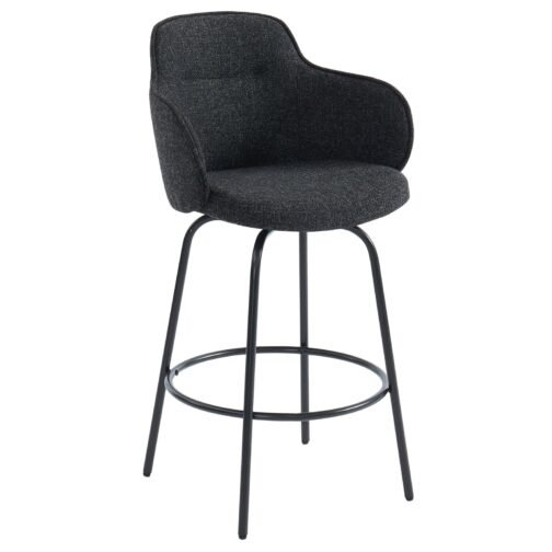 Lani 26'' Counter Stool, set of 2, in Charcoal