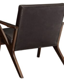 Basil Accent Chair in Brown