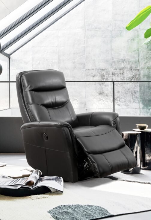 IF-6300 Recliner