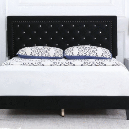 SOLO – BLACK VELVET