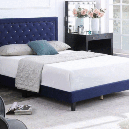 SOLO – BLUE VELVET