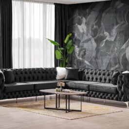 CHESTER – BLACK VELVET