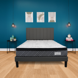 Hard Density Pillow Top(2 in 1)-10″